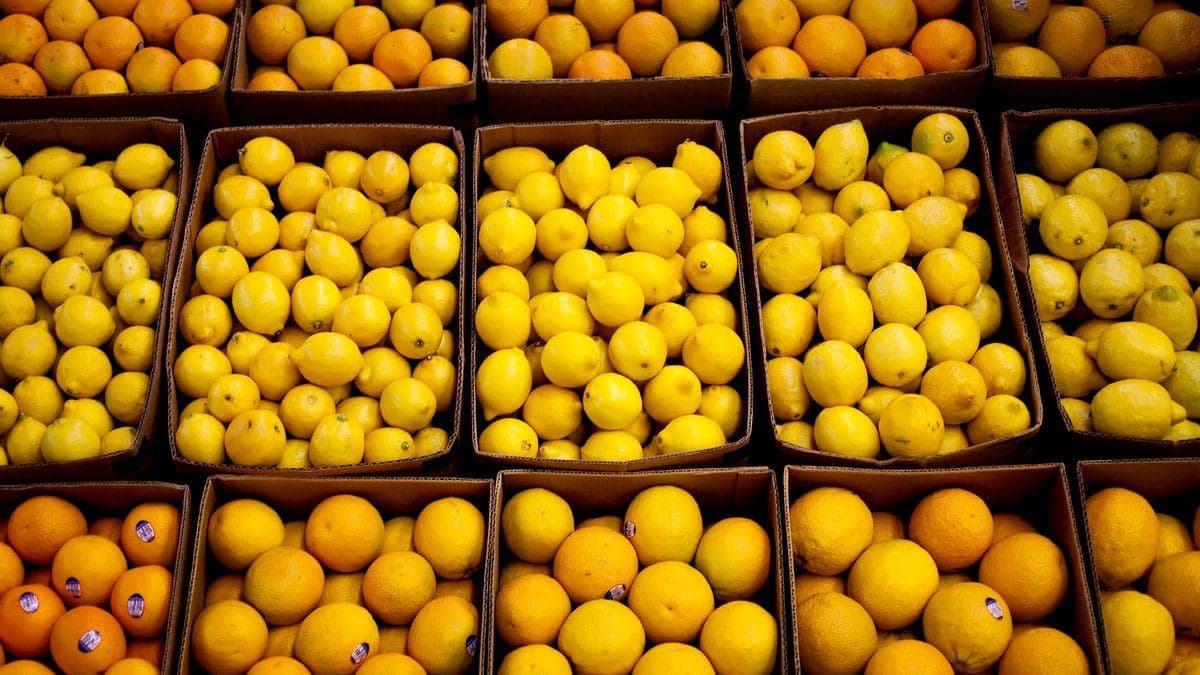 Рейтинг. Ўзбекистон энг кўп лимон экспорт қилаётган давлатлар