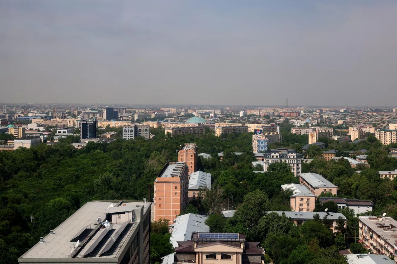 Тошкентда яшил ҳудудларни қандай кенгайтирса бўлади? Президент топшириғи ва дунё тажрибаси