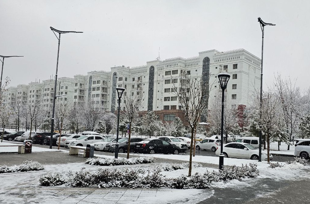 Тошкентда ўртача ижара нархи қимматлашди